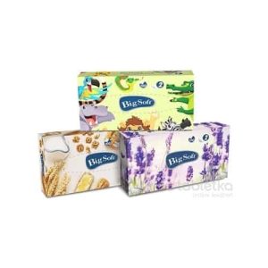 Big Soft deluxe BOX vreckovky hygienické 1×100 ks