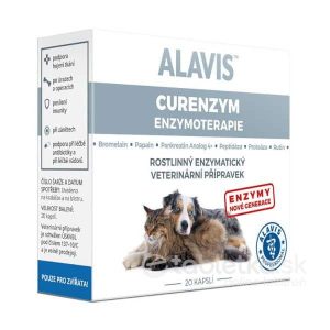 Alavis Enzymoterapie 20tbl.