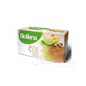 Biogena Fantastic Tea Zázvor & Limetka 20×2 g