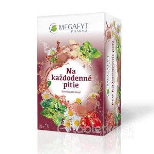 MEGAFYT Na každodenné pitie bylinný čaj 20×1,5 g (30 g)