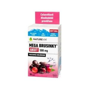 SWISS NATUREVIA MEGA BRUSNICE AKUT 500 mg 1x15cps
