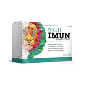 MultiIMUN 90 ks