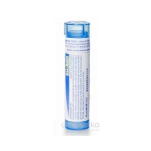 THUYA OCCIDENTALIS CH9 4 g