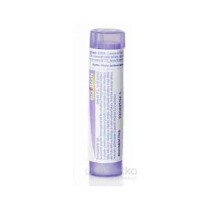 THUYA OCCIDENTALIS CH30 4 g