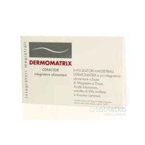 DERMOMATRIX integratori magistrali 1x20ks