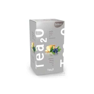 Biogena Tea2O Čučoriedka & Ženšen 20×2,3 g