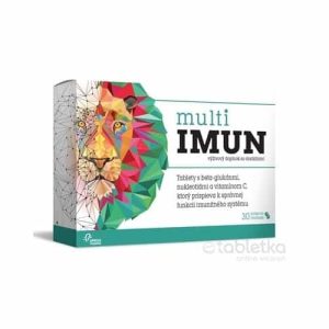 MultiIMUN 30 ks